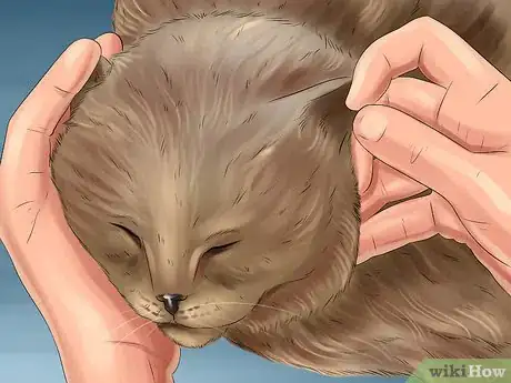 Image titled Act When Meeting a Strange Cat Step 8