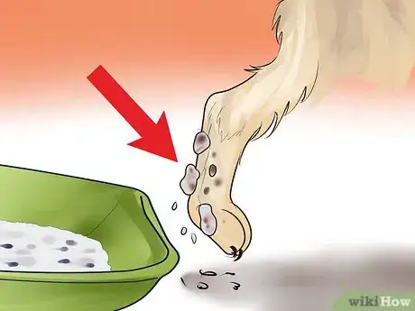 Image titled Choose a Kitty Litter Step 8