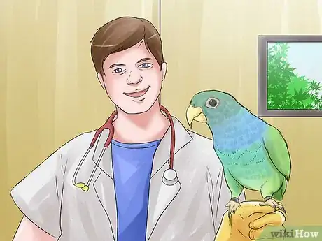 Image titled Know if a Pionus Parrot Is Right for You Step 7