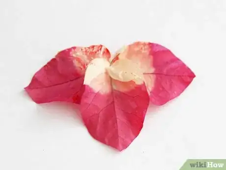 Image titled Make Flower Prints Step 4