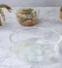 Butterfly Shrimp