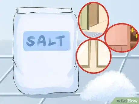 Image titled Prevent Ants in the Kitchen Step 8