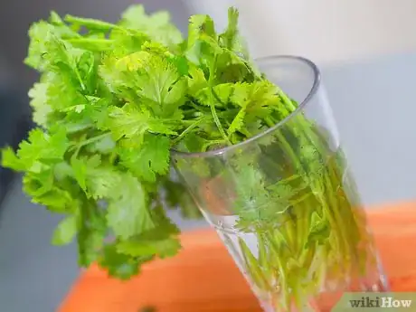 Image titled Store Herbs Step 3