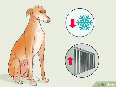 Image titled Adopt a Greyhound Step 2