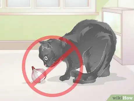 Image titled Use an Onion to Deodorize a Cat Litter Box Step 6