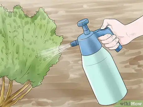 Image titled Garden in a Mediterranean Climate Step 11