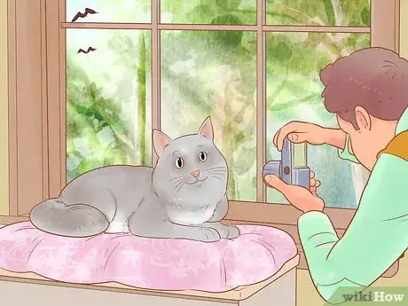 Image titled Take Action Photos of a Cat Step 3