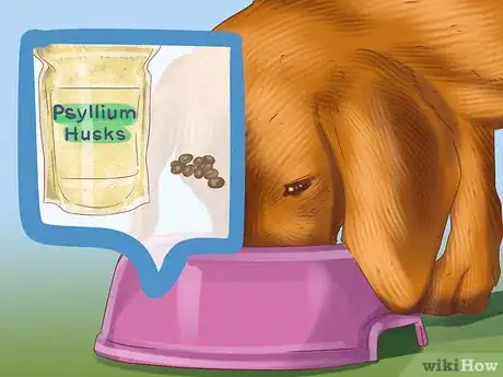Image titled Help a Dog with Sleep Incontinence Step 12
