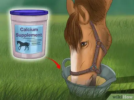 Image titled Give Your Horse the Right Supplements Step 8