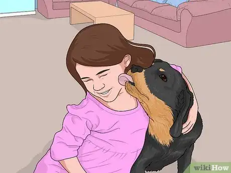 Image titled Identify a Smaland Hound Step 12