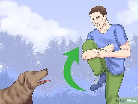 Image titled Protect Yourself from Dogs While Walking Step 7