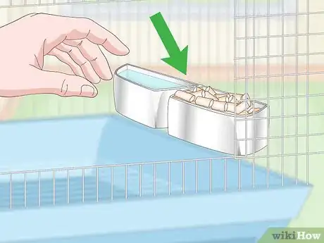 Image titled House a Hawk‐Headed Parrot Step 4