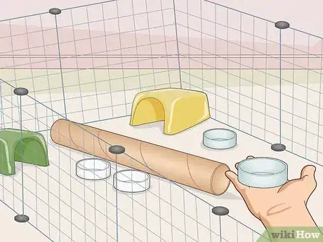 Image titled Help Two Guinea Pigs Get Along Step 3