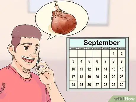 Image titled Get Tulip Bulbs Step 7
