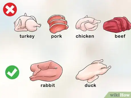 Image titled Deal with Cat Food Allergies Step 4