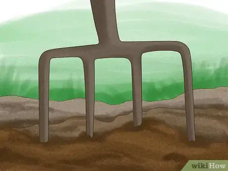 Image titled Start a Vegetable Garden Step 4