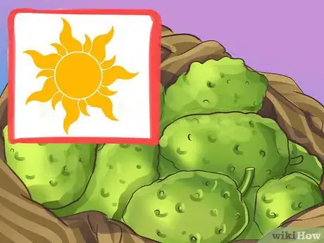 Image titled Eat Noni Fruit Step 12
