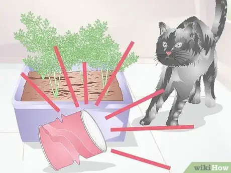 Image titled Stop Cats from Eating Indoor Plants Step 2