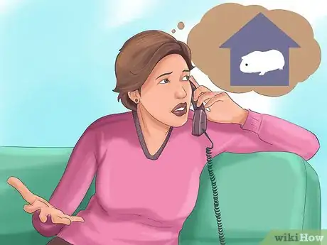 Image titled Choose a Pet Guinea Pig Step 2