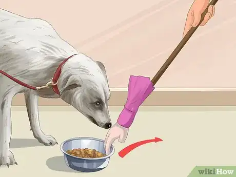 Image titled Have a Successful Visit to the Vet Step 6