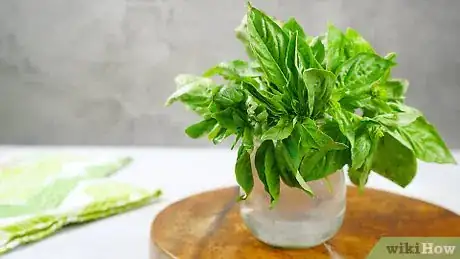 Image titled Preserve Basil Step 1