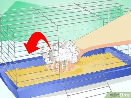 Image titled Create a Habitat for a Hamster Step 3