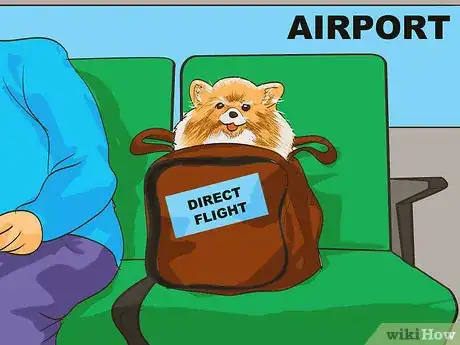 Image titled Handle Holiday Travel with Your Pet Step 10