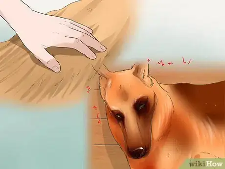 Image titled Prevent Canine Leptospirosis Step 10