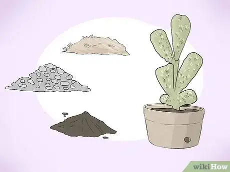 Image titled Grow Cactus in Containers Step 5