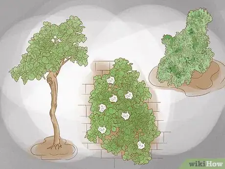 Image titled Grow a Topiary Step 15