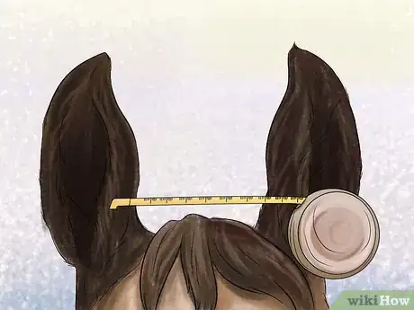 Image titled Choose a Bridle for Your Horse Step 5