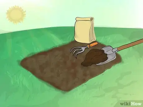 Image titled Grow Gladiolus Step 5Bullet1