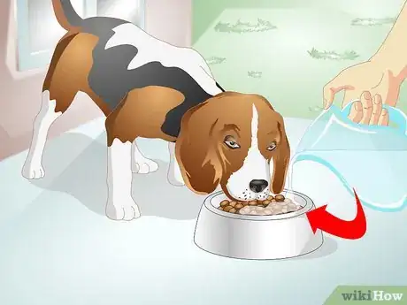 Image titled Reduce Flatulence in Dogs Step 4