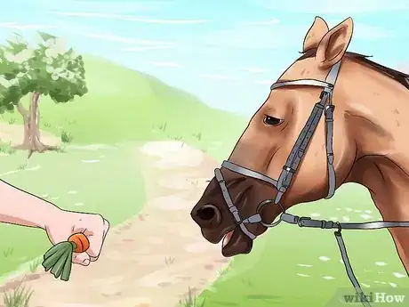 Image titled Get a Head Shy Horse To Trust You Step 8