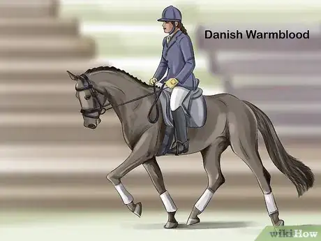 Image titled Choose the Right Breed of Horse for You Step 12