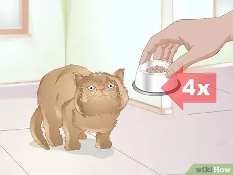 Image titled Choose Food for a Kitten Step 9
