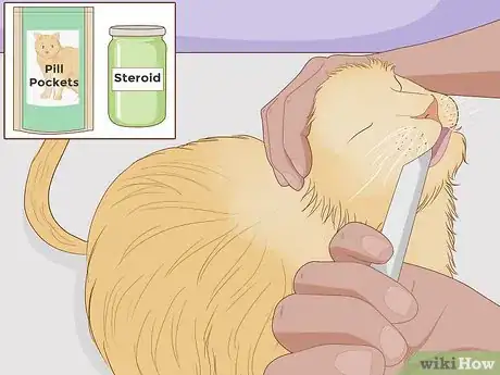 Image titled Treat a Cat With Asthma Step 2