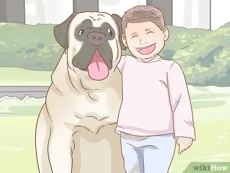 Image titled Care for an English Mastiff Step 13
