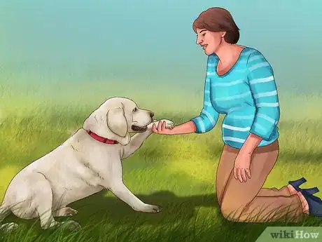 Image titled Adopt a Service Dog Step 16