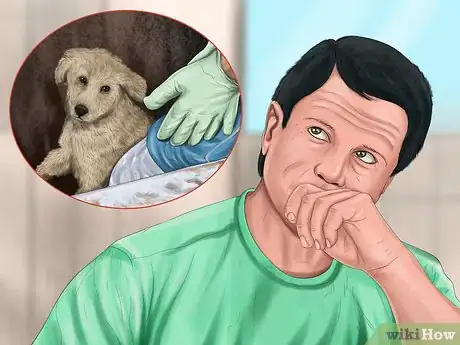 Image titled Approach an Unfamiliar Dog Step 16