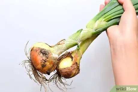 Image titled Rid Your Produce of Pesticide Residue Step 8