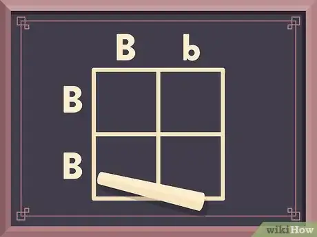 Image titled Use a Punnett Square to Do a Monohybrid Cross Step 4