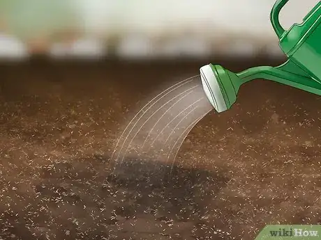 Image titled Plant Safflower Seeds Step 5