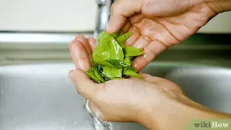Image titled Preserve Curry Leaves Step 1