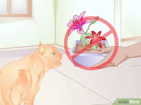 Image titled Stop Cats from Eating Indoor Plants Step 8
