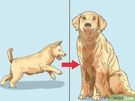 Image titled Evaluate a Dog's Temperament Before Choosing Step 15