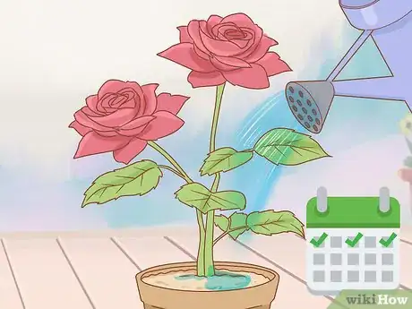 Image titled Grow Long Stem Roses at Home Step 15