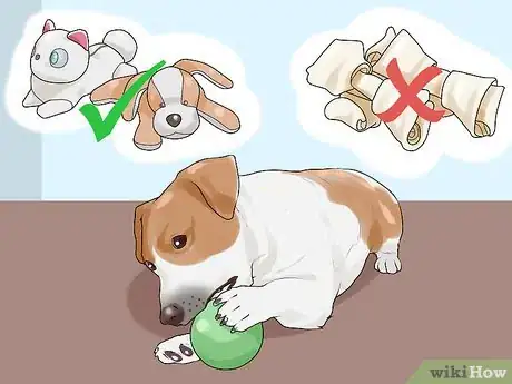 Image titled Have a Successful First Day with a New Dog Step 6