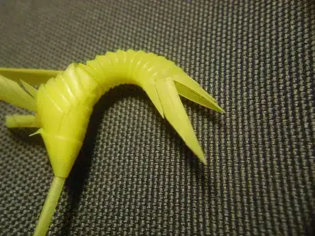 Image titled Shachi34_815.JPG