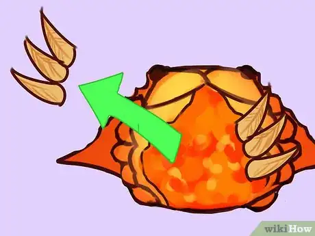 Image titled Eat a Maryland Blue Crab Step 16